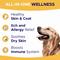 Show in main carousel: GoodGrowlies Allergy & Itch Relief Salmon Flavored Skin & Coat Chews Supplement for Dogs, 180 count slide 3 of 10