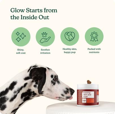 Show full view: Reggie Evening Skin & Coat Chew Pork Flavored Soft Chew Skin & Coat Supplement for Dogs, 60 count slide 3 of 8