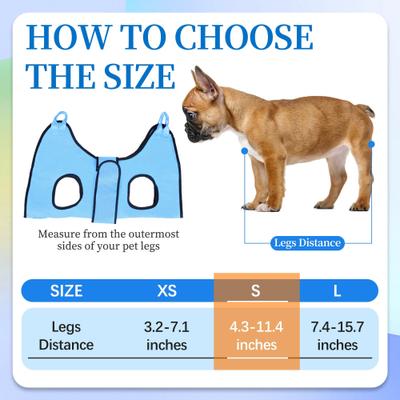 Show full view: PatiencET Dog Grooming Hammock for Small Dogs Hanging Harness for Nail Trimming & Clipping, Small, Cerulean slide 2 of 7