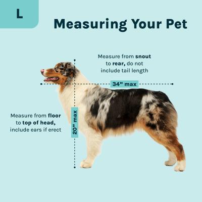 Show full view: SP Pop Dog Crate, Large slide 8 of 10