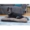 Show in main carousel: SP Waterproof Plush Dog Bed, 36.5-in slide 7 of 9