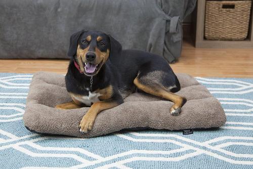 Show full view: SP Waterproof Plush Dog Bed, 33-in slide 7 of 8