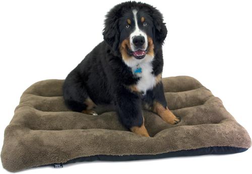 Show full view: SP Waterproof Plush Dog Bed, 46-in slide 2 of 9