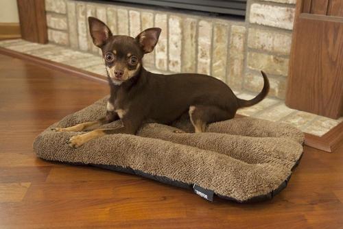 Show full view: SP Waterproof Plush Dog Bed, 20-in slide 6 of 10