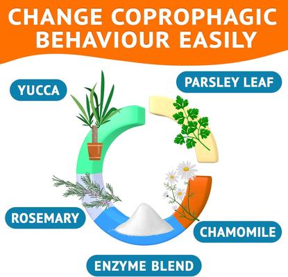 Show full view: GoodGrowlies No Poo & Coprophagia Stool Eating Deterrent Probiotics & Digestive Enzymes Chews, 120 count slide 5 of 11