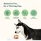 Show in main carousel: Reggie Pumpkin Probiotic Powder Pumpkin & Apple Flavored Digestive Aid Supplement for Dogs, 40 servings slide 3 of 10