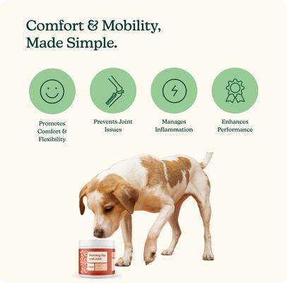 Show full view: Reggie Morning Hip & Joint Pork Flavored Soft Chew Mobility Supplement for Dogs, 60 count slide 3 of 8