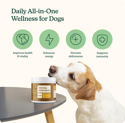 Show full view: Reggie Morning Multivitamin Pork Flavored Soft Chew Multivitamins for Dogs, 60 count slide 3 of 8