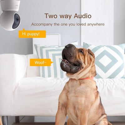 Show full view: Arenti P2F WiFi Pet Camera, White, 2 count slide 5 of 10