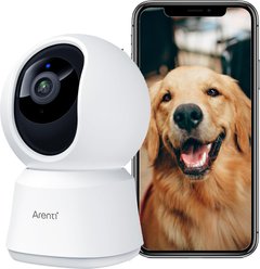 Arenti P2F Wired Indoor Dog Camera