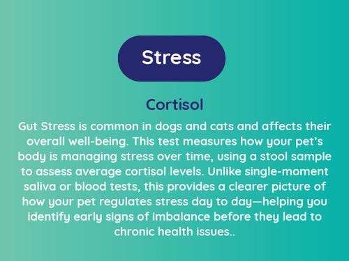 Show full view: Innovative Pet Lab Stress Test Kit for Dogs slide 5 of 9