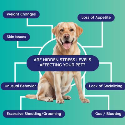 Show full view: Innovative Pet Lab Stress Test Kit for Dogs slide 3 of 9