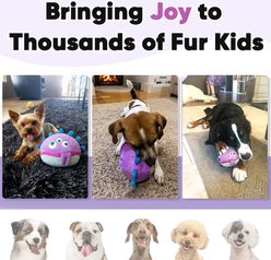 Petbobi The Jolly Jelly Bobby Interactive Squeaky Dog Plush Toy, Purple slide 2 of 6