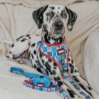 Show full view: Sassy Woof Marvel’s Spider-Man Dog Harness & Leash, XX-Large slide 9 of 9