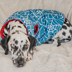 Sassy Woof Marvel's Spider-Man Dog Reversible Sherpa Jacket, X-Large slide 2 of 8