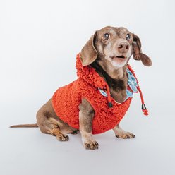 Sassy Woof Marvel's Spider-Man Dog Reversible Sherpa Jacket, Medium slide 2 of 8