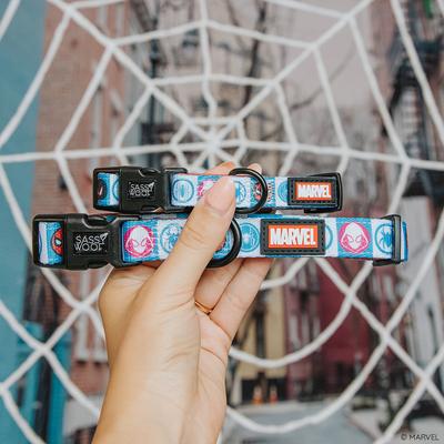 Show full view: Sassy Woof Marvel’s Spider-Man Dog Collar, Large: 26-in neck slide 5 of 7