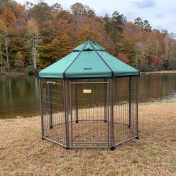 Win World Gazebo Hunter Dog & Cat Crate, Green, Large: 5-ft