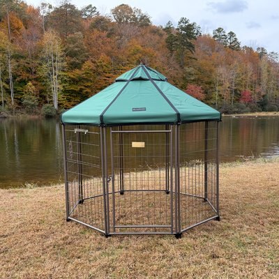 Win World Win World Gazebo Hunter Dog & Cat Crate, Green, Large: 5-ft