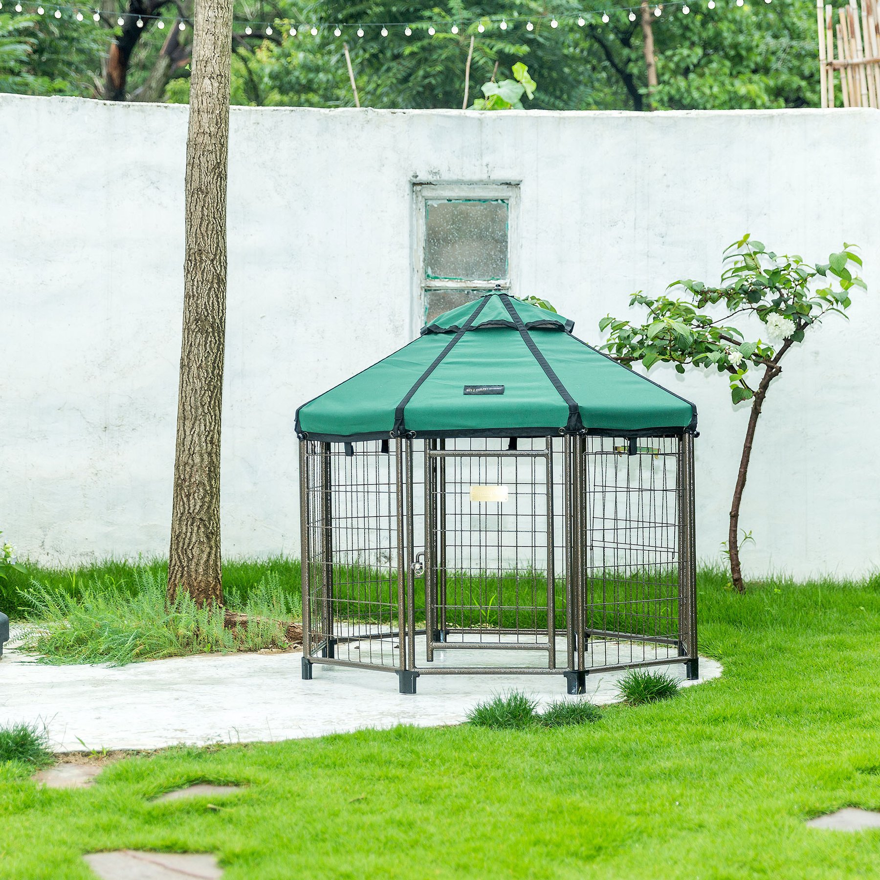 Win World Gazebo Hunter Dog & Cat Crate, Green, Medium: 4-ft