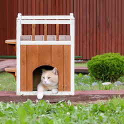 Win World Cat House, Brown/White, Medium