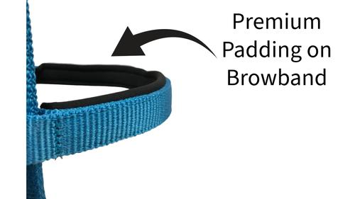 Show full view: Tahoe Tack Double Layer Nylon Padded Headstall with Reins, Purple, Draft Horse XX-Large slide 5 of 7