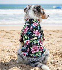 Doggie Design Hawaiian Camp Dog Shirt, Paradise Nights, XX-Large slide 2 of 4