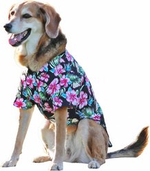 Doggie Design Hawaiian Camp Dog Shirt, Paradise Nights, X-Large slide 2 of 4