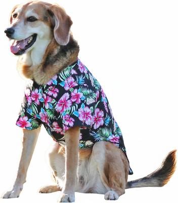Show full view: Doggie Design Hawaiian Camp Dog Shirt, Paradise Nights, X-Large slide 2 of 4