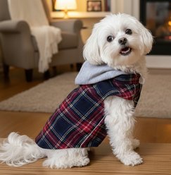 Doggie Design Weekender Dog Sweatshirt Hoodie, Red & Black Plaid Flannel, Small slide 2 of 4
