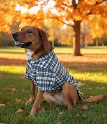 Doggie Design Flannel Dog Shirt, Gray & Blue Plaid, Small slide 2 of 5