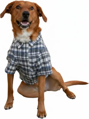 Show full view: Doggie Design Flannel Dog Shirt, Gray & Blue Plaid, Small slide 4 of 6