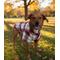 Show in main carousel: Doggie Design Flannel Dog Shirt, Red & White Plaid, XX-Large slide 6 of 6