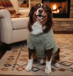 Doggie Design Soft Plush Pullover Dog Shirt, Moss Green, XXXX-Large slide 2 of 4