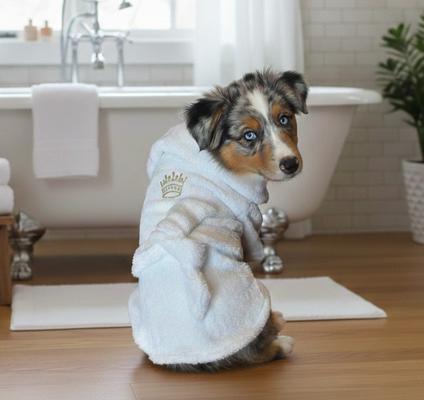 Show full view: Doggie Design White Gold Crown Cotton Dog Bathrobe, White, X-Large slide 4 of 4