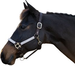 Kensington Protective Products Premium Reflective Horse Nylon Breakaway Halter, Desert Sand, X-Large