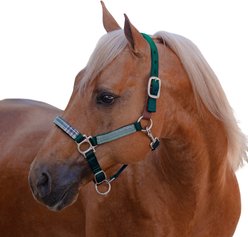 Kensington Protective Products Premium Reflective Horse Nylon Breakaway Halter, Hunter/Imperial Jade, Horse