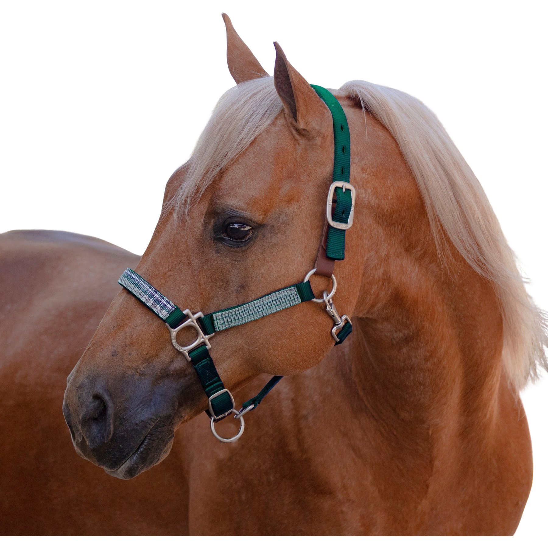 Kensington Protective Products Premium Reflective Horse Nylon Breakaway Halter, Hunter/Imperial Jade, Warmblood