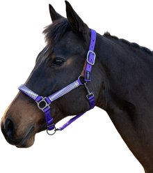 Kensington Protective Products Premium Reflective Horse Nylon Breakaway Halter, Purple/Lavender Mint, Horse