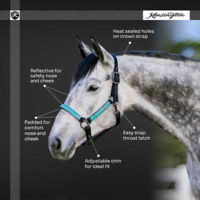 Show full view: Kensington Protective Products Premium Reflective Nylon Horse Halter, Hunter/Imperial Jade, Large slide 4 of 8