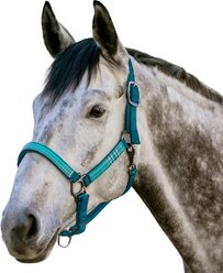 Kensington Protective Products Premium Reflective Nylon Horse Halter, Harbor/Atlantis, X-Large