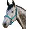Show in main carousel: Kensington Protective Products Premium Reflective Nylon Horse Halter, Harbor/Atlantis, X-Large slide 1 of 8