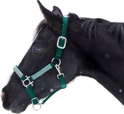 Kensington Protective Products Premium Reflective Nylon Horse Halter, Hunter/Imperial Jade, Large