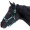 Show in main carousel: Kensington Protective Products Premium Reflective Nylon Horse Halter, Hunter/Imperial Jade, Large slide 1 of 8
