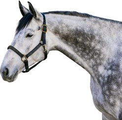 Kensington Protective Products Premium Reflective Nylon Horse Halter, Raven, Horse