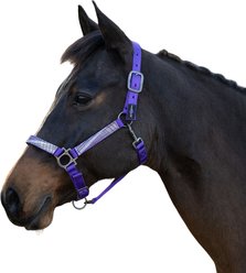 Kensington Protective Products Premium Reflective Nylon Horse Halter, Purple/Lavender Mint, Horse
