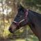 Show in main carousel: Kensington Protective Products Premium Reflective Nylon Horse Halter, Red/Merlot, X-Large slide 2 of 8