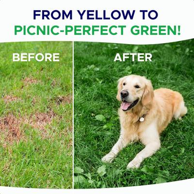 Show full view: GoodGrowlies Grass Burn Spot & Urine Neutralizer for Lawn Chew Supplement for Dogs, 120 count slide 5 of 9