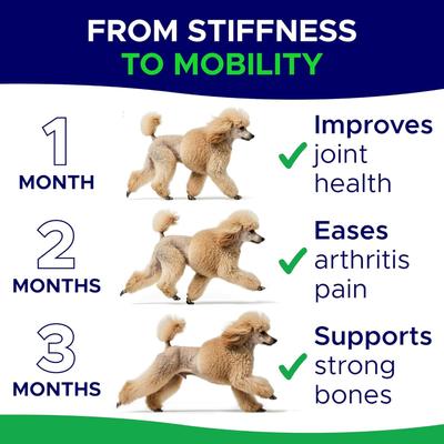 Show full view: GoodGrowlies Glucosamine Hip & Joint Chicken Flavored Soft Chew Supplement for Dogs, 120 count slide 5 of 10