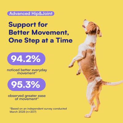 Show full view: Boops Pets Advanced Hip & Joint Chicken Flavored Soft Chews Vitamins for Dogs, 90 count slide 3 of 10